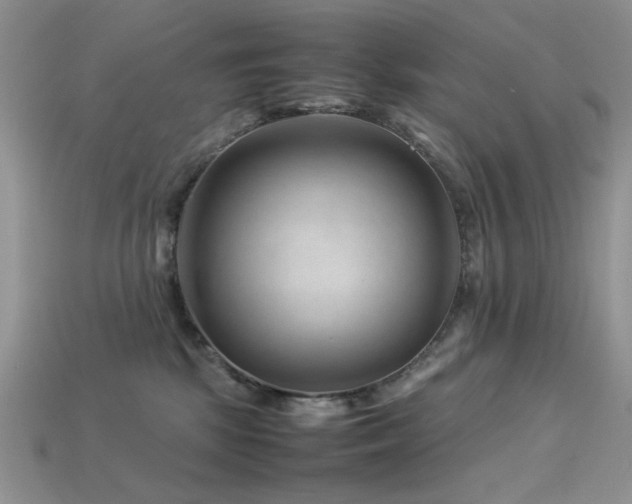 X0000113540281200909181204