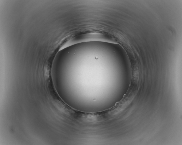 X0000113540282200909181204