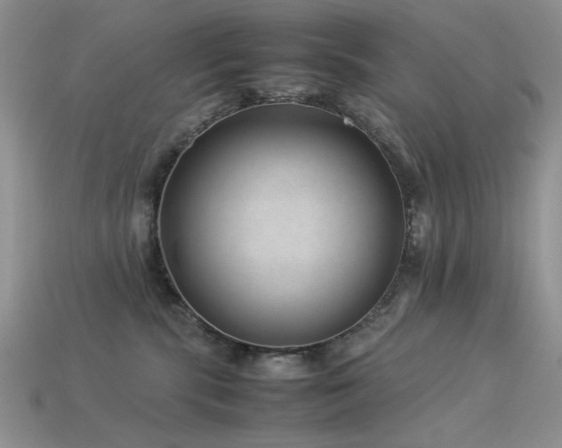 X0000113540283200909181204