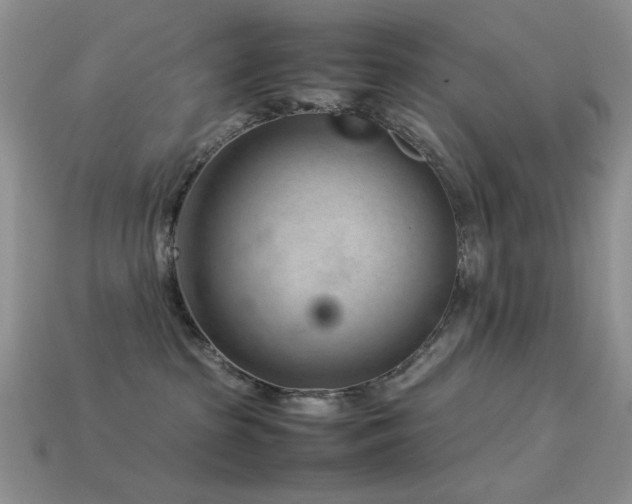 X0000113540285200909181204