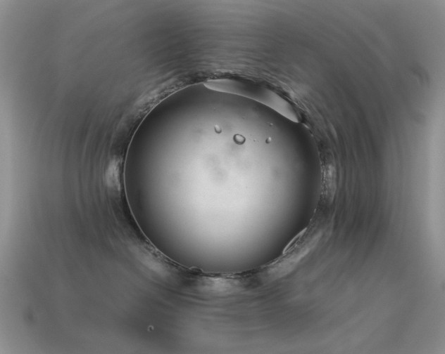 X0000113540286200909181204