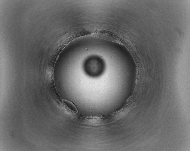 X0000113540288200909181204