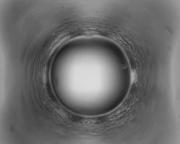 X0000113540291200909181203