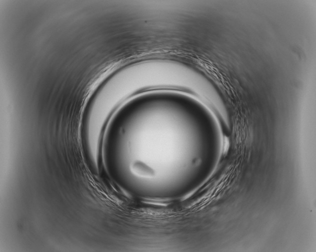 X0000113540292200909181203