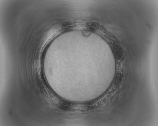 X0000113540293200909181203
