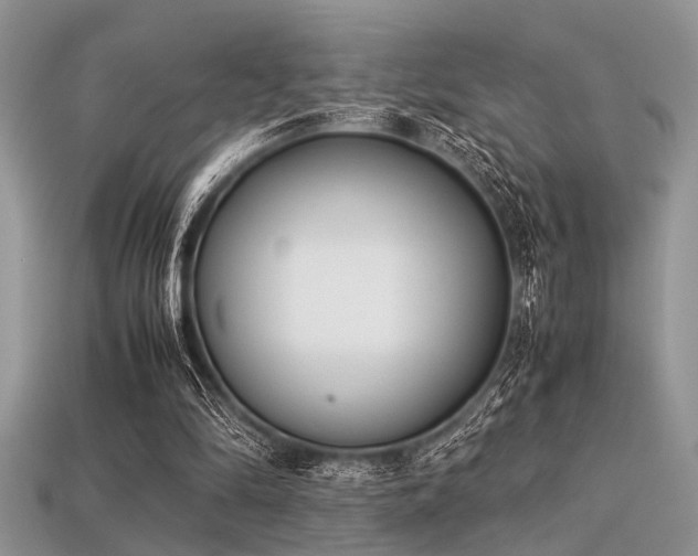 X0000113540294200909181203