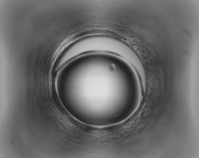 X0000113540296200909181203
