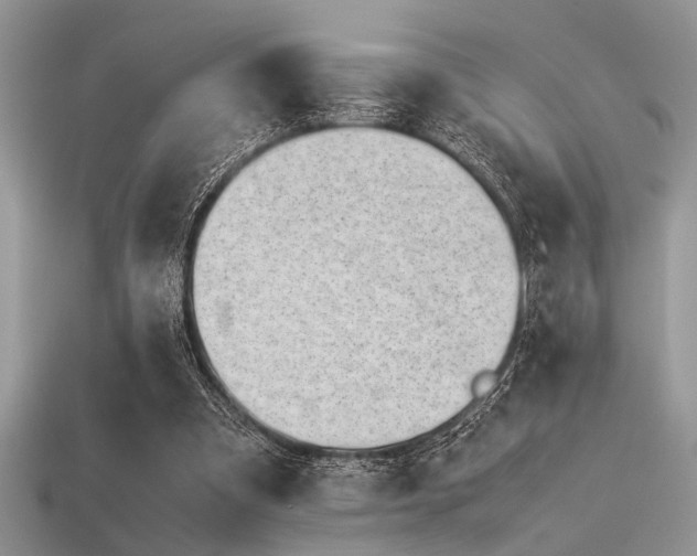 X0000113540297200909181203