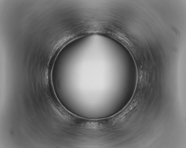 X0000113540298200909181203