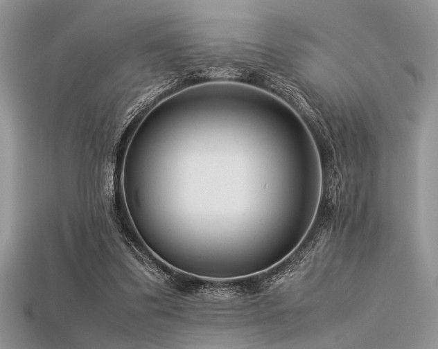 X0000113540299200909181203