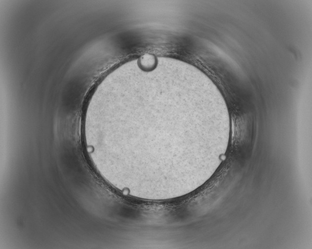 X0000113540301200909181203