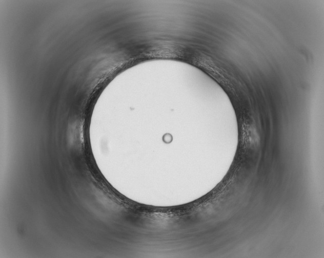 X0000113540302200909181203