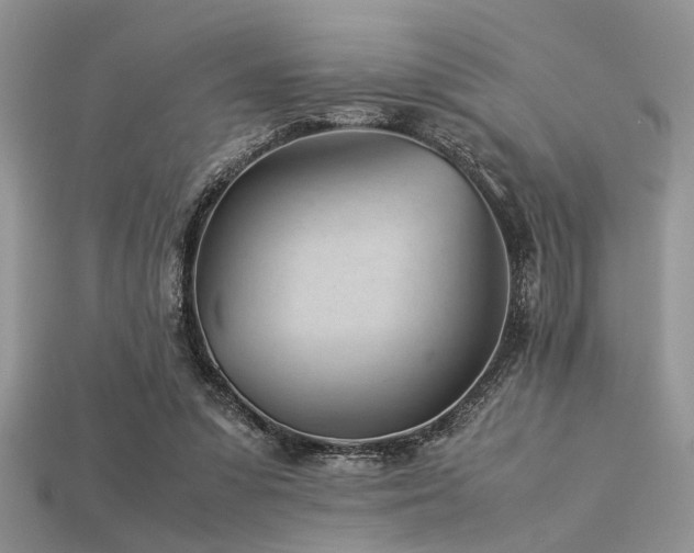 X0000113540303200909181203