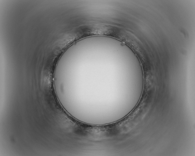 X0000113540305200909181203