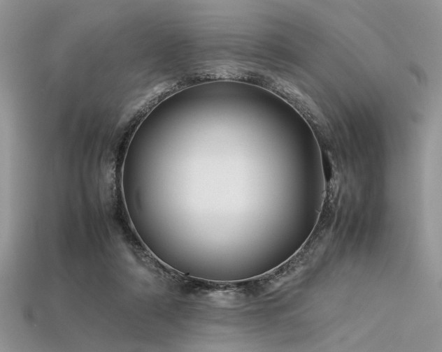 X0000113540306200909181203