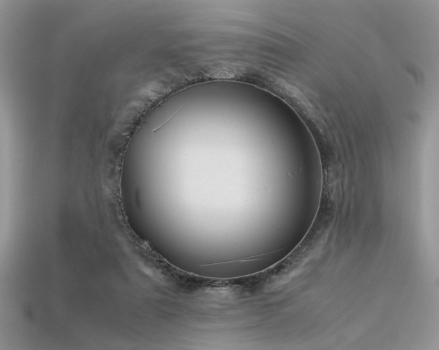 X0000113540307200909181203
