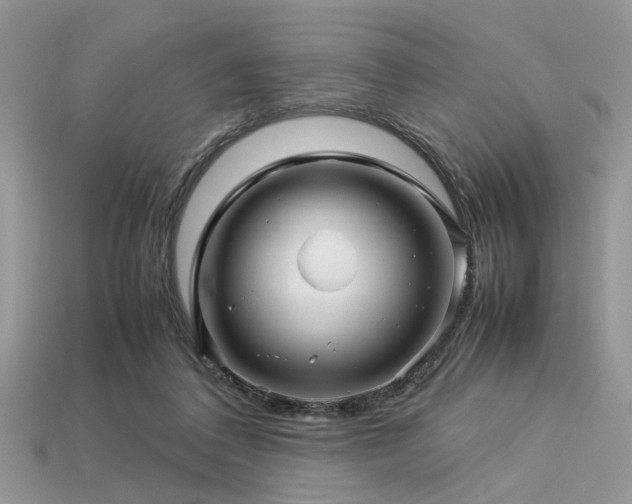 X0000113540308200909181203