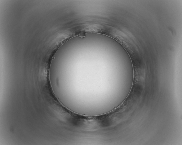 X0000113540309200909181203