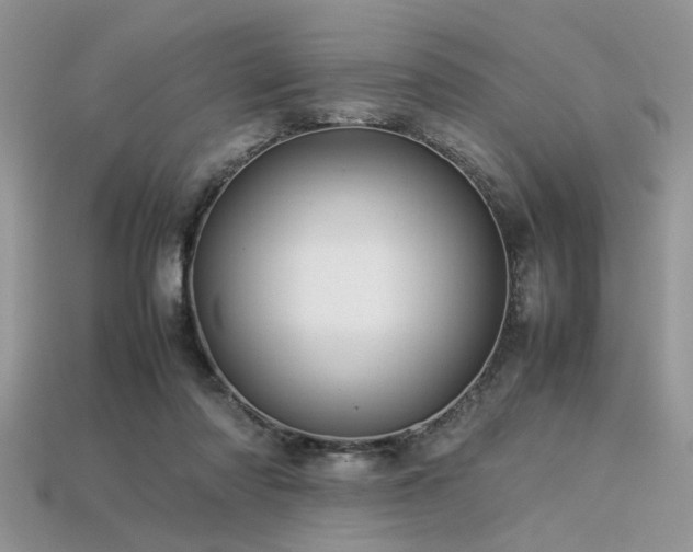 X0000113540310200909181203