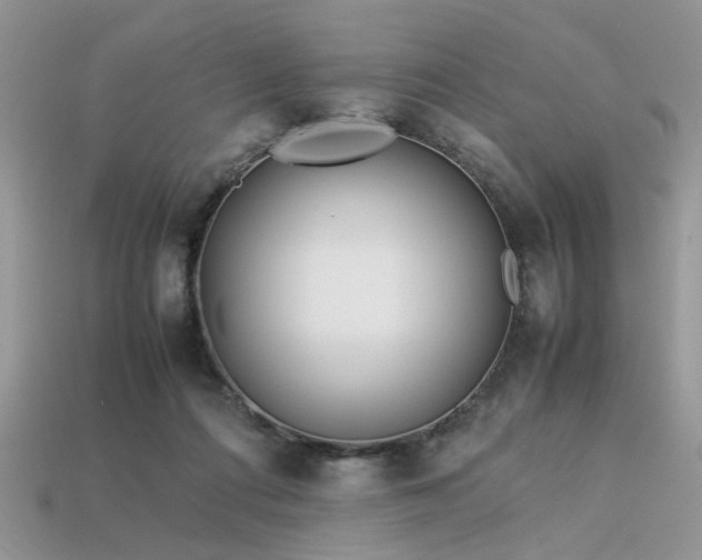 X0000113540312200909181203