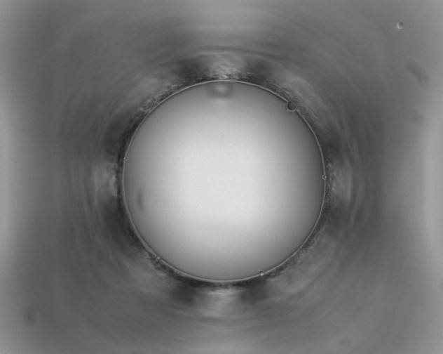 X0000113540313200909181203
