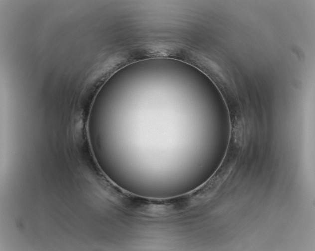 X0000113540314200909181203
