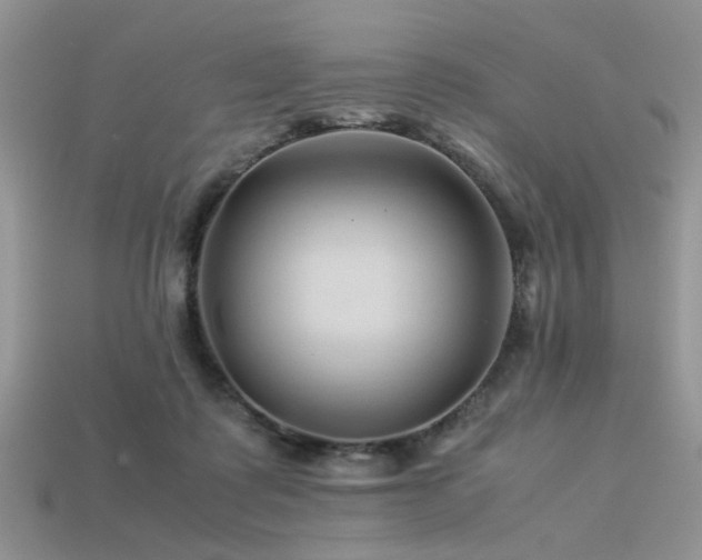 X0000113540315200909181203