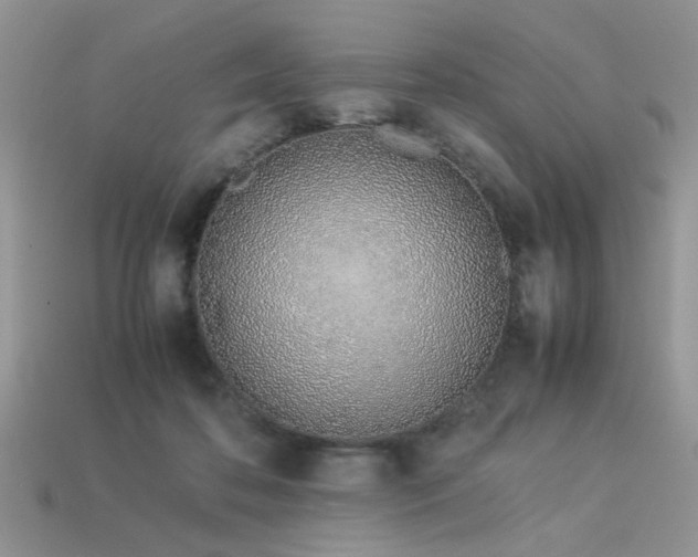 X0000113540316200909181203