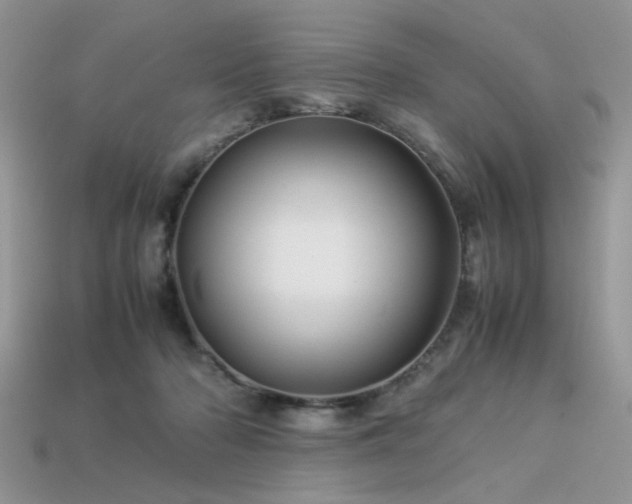 X0000113540318200909181203