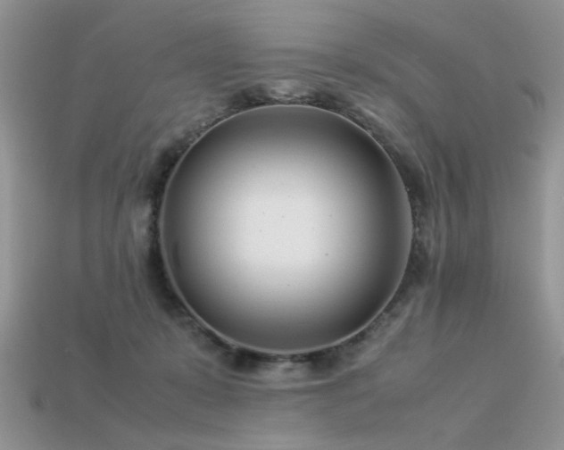 X0000113540319200909181203