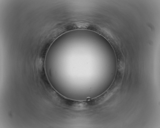 X0000113540321200909181203