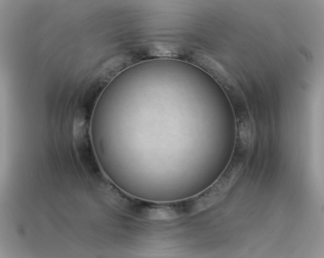 X0000113540322200909181203