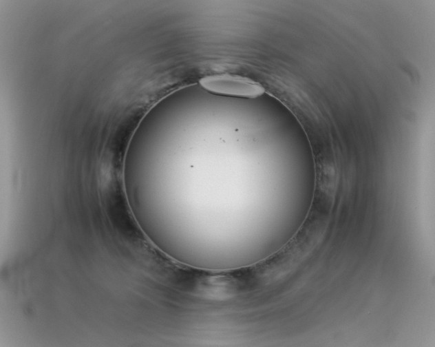 X0000113540324200909181203