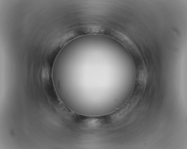 X0000113540326200909181203