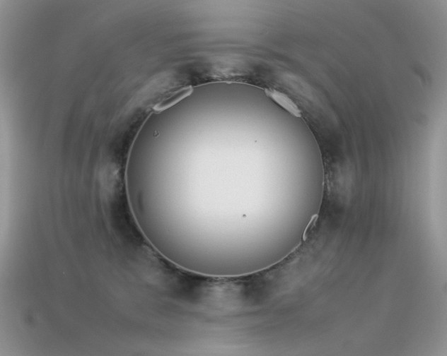 X0000113540327200909181203