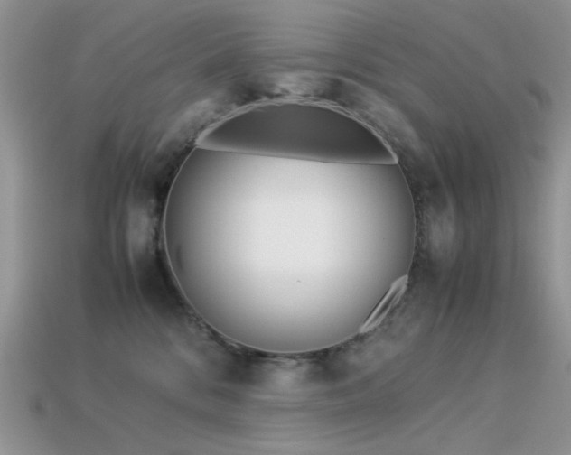 X0000113540328200909181203
