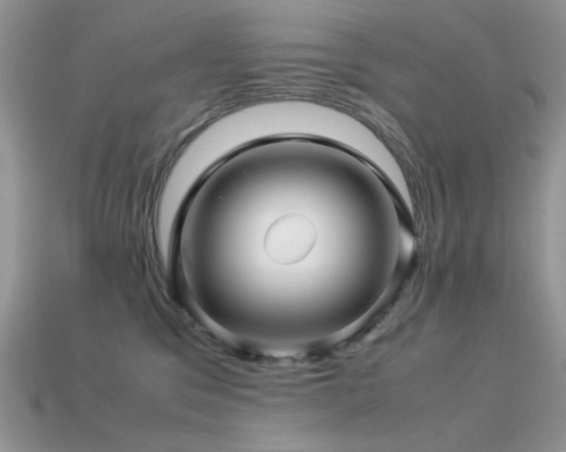 X0000113540329200909181203