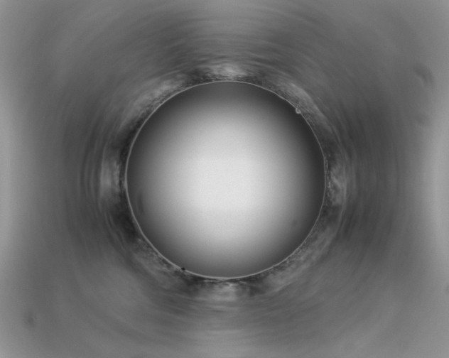 X0000113540330200909181203