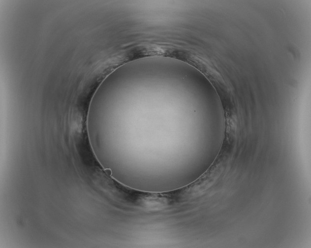 X0000113540331200909181203