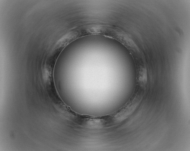X0000113540332200909181203