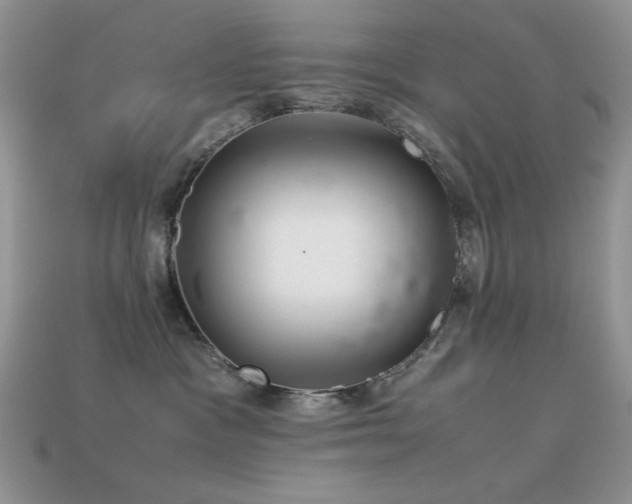 X0000113540333200909181203