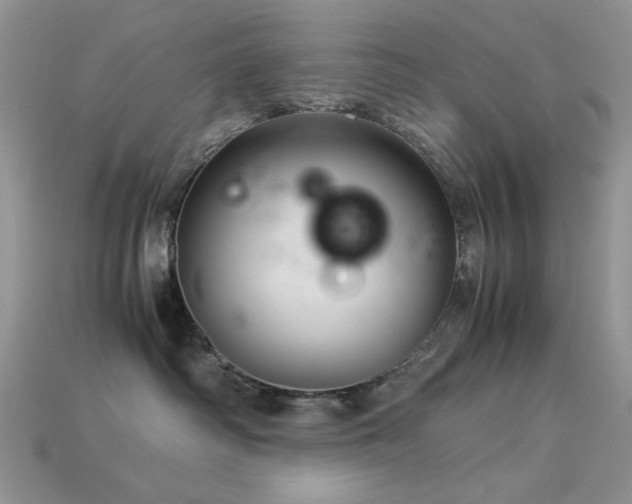 X0000113540334200909181203