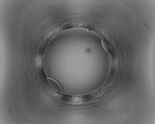 X0000113540335200909181203
