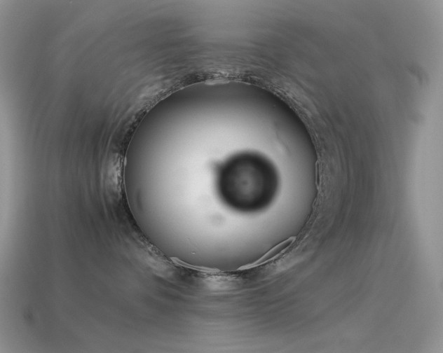 X0000113540336200909181203