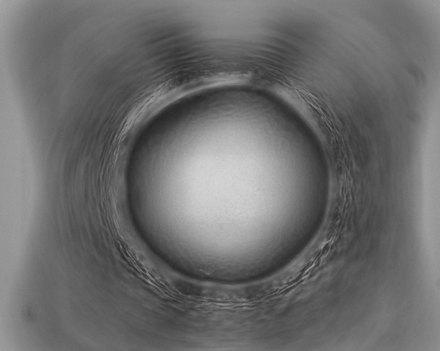 X0000113540337200909181202