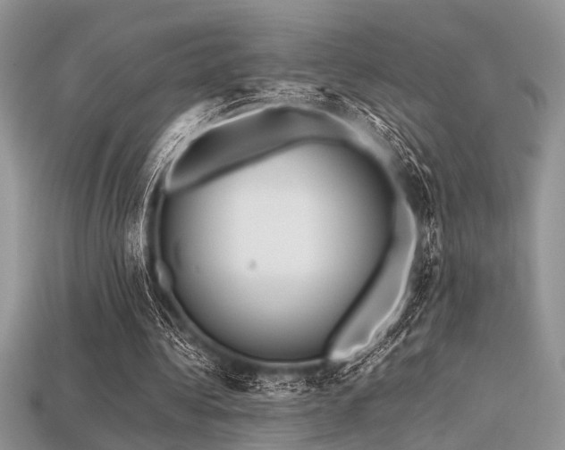 X0000113540340200909181202