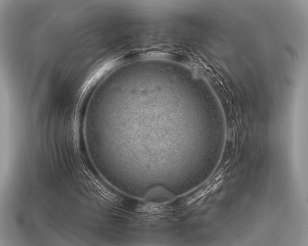 X0000113540341200909181202