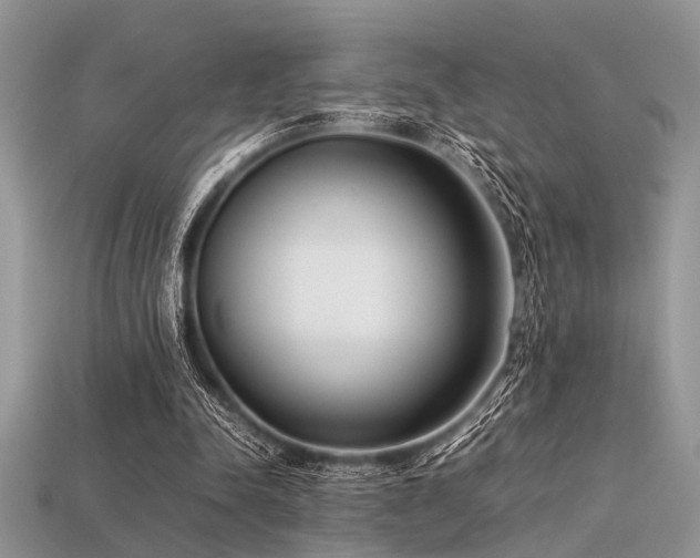 X0000113540342200909181202