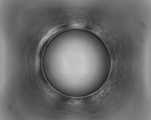 X0000113540343200909181202