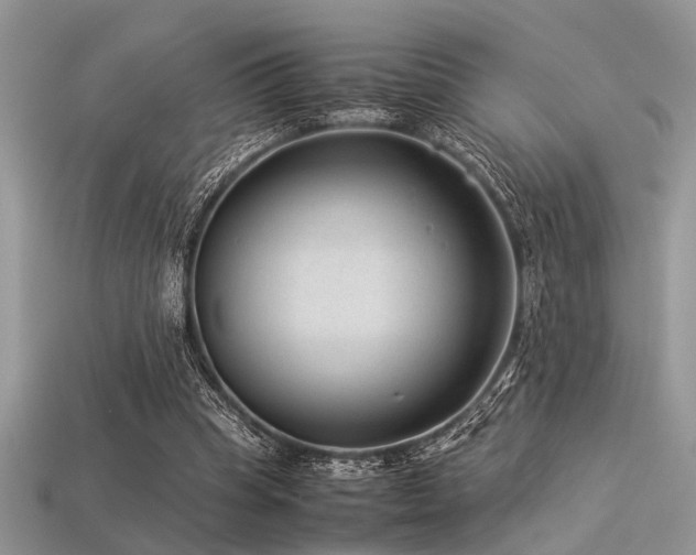X0000113540345200909181202